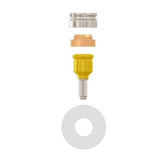 Picture of Clever click straight abutment 2mm-Prime