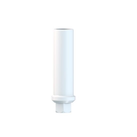 Picture of Plastic Abutment Non Hex