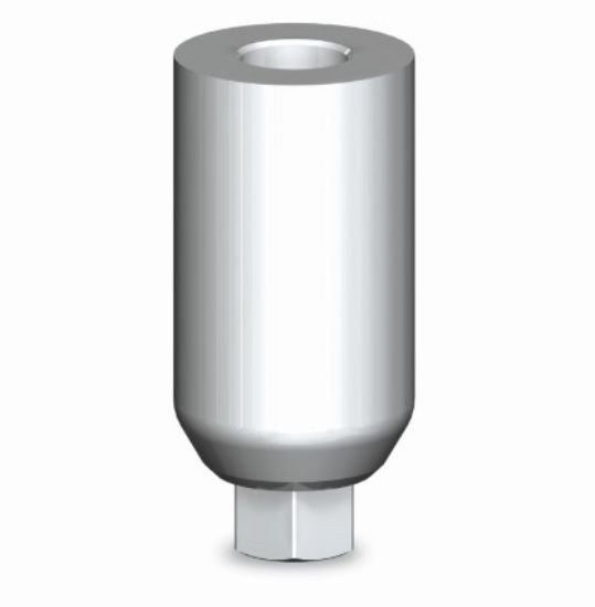Picture of Wide Plastic Abutment with Hex