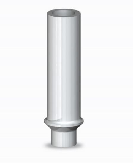 Picture of Plastic Abutment with Hex