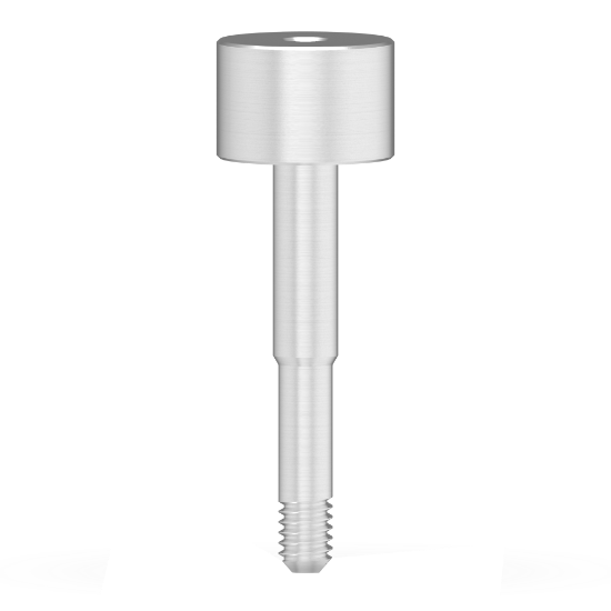 Picture of Guided pin screw for model casting HEX