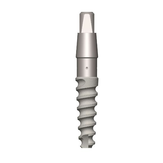 Picture of Smart one piece Dental implant D3.3 L10mm