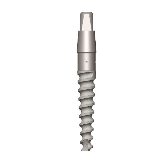 Picture of Smart one piece Dental implant D3.0 L13mm