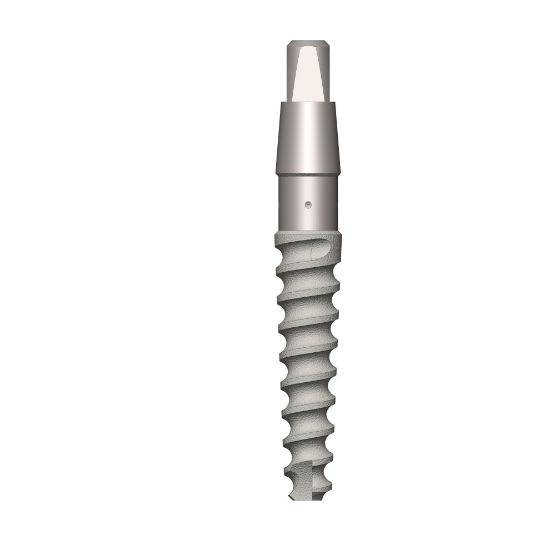 Picture of Smart one piece Dental implant D3.3 L13 mm