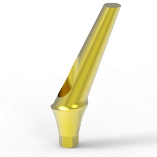 Picture of Anatomic Ang Titanium Abutment 25 L2mm MPN