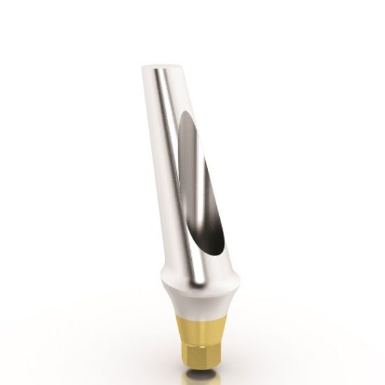 Picture of Anatomic Ang. Titanium Abutment 15 3mm L MPN