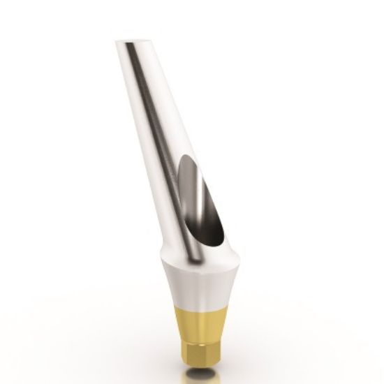 Picture of Anatomic Ang. Titanium Abutment 25 L4mm MPN