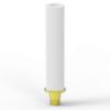 Picture of Titanium Castable Abutment Hex MPN