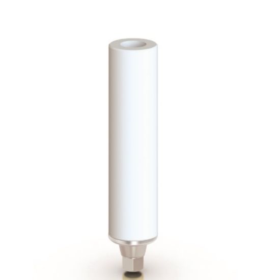 Picture of CrCo Castable Abutment Hex MPN
