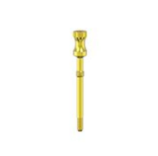 Picture of GS Implant mount screw MPN