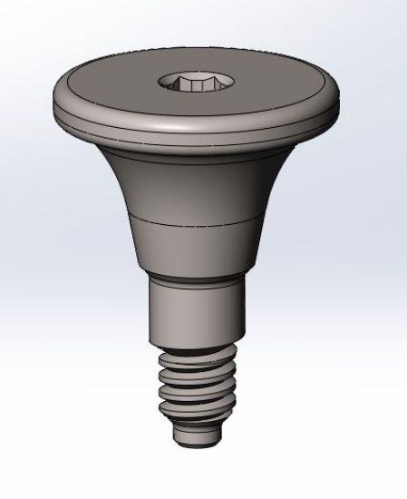Picture of Healing Cap Ø6mm L3mm MPR