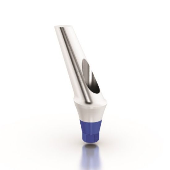 Picture of Anatomic Ang. Titanium Abutment Deg.25 L3mm MPR