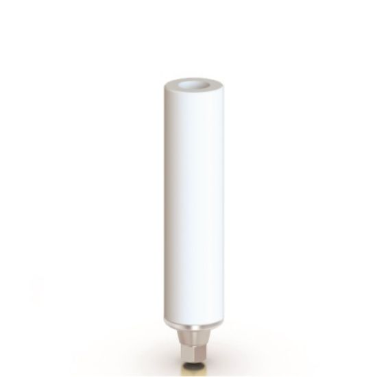 Picture of CrCo Castable Abutment Hex MPR