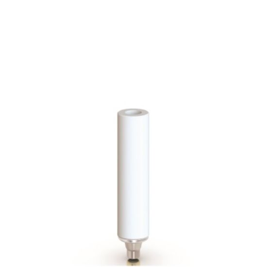 Picture of CrCo Castable Abutment Non Hex MPR