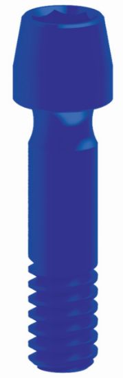 Picture of Abutment Screw MPR