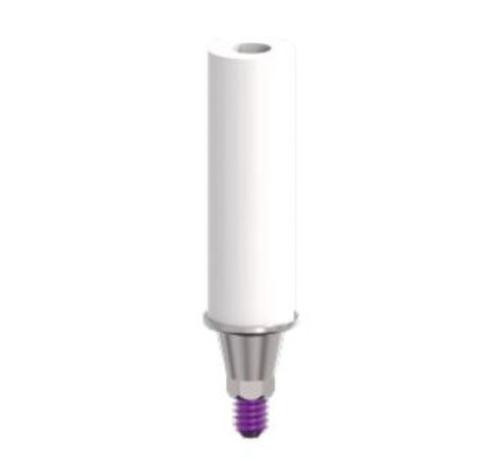 Picture of Titanium Castable Abutment Hex MPW