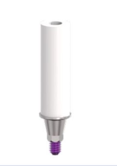 Picture of CrCo Castable Abutment Hex MPW