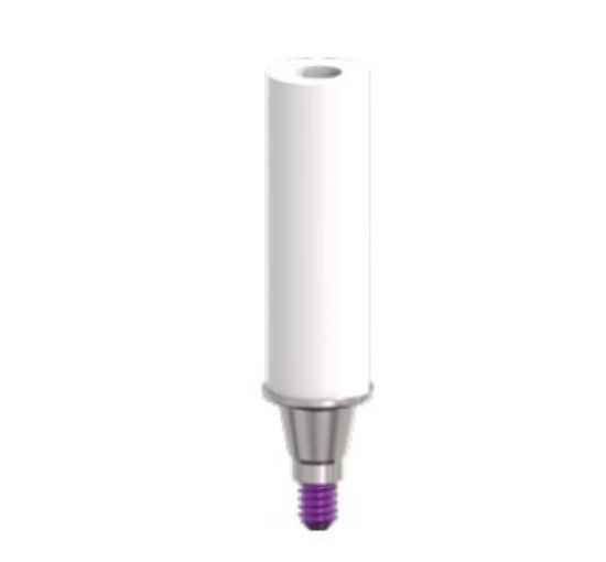 Picture of Titanium Castable Abutment Non Hex MPW