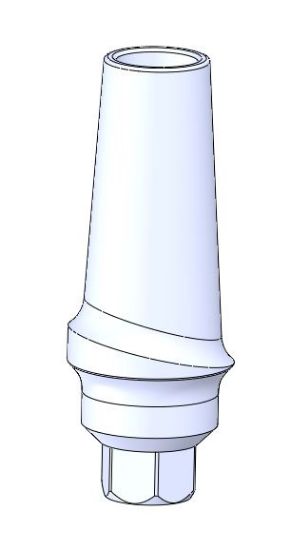 Picture of Anatomic Concave Straight Hex. Abutment L2.mm
