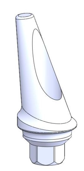 Picture of Anatomic Concave Angulated Hex. Abutment L1mm 15 Deg.