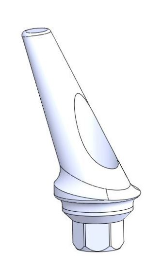 Picture of Anatomic Concave Angulated Hex. Abutment L1mm 25 Deg.