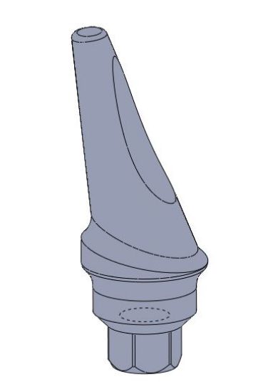 Picture of Anatomic Concave Angulated Hex. Abutment L2mm 15 Deg.