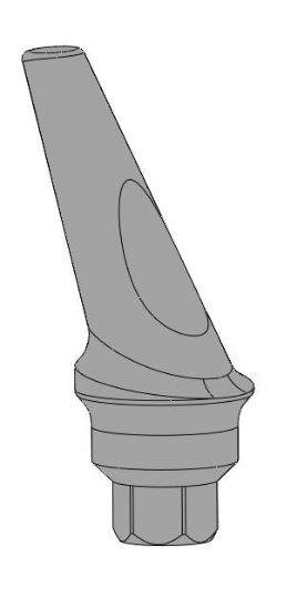 Picture of Anatomic Concave Angulated Hex. Abutment L2mm 25Deg.