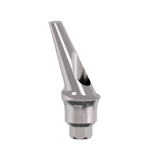 Picture of Anatomic Concave Angulated Hex. Abutment L3mm 25Deg.